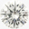 Diamant med top wesselton farve