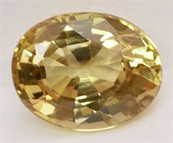 Oval gul safir fra Sri Lanka