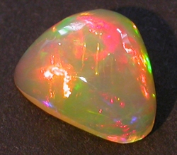 Stor opal billed 2