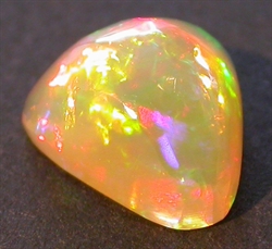 Stor opal billed 3