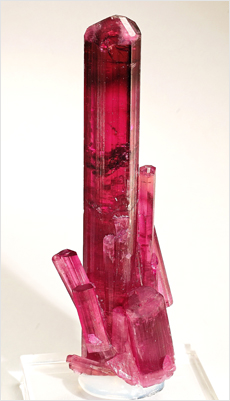 Pink turmalin krystal kaldet rubelit